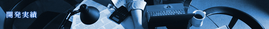 開発実績
